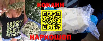 крисы Моздок