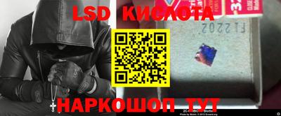 крисы Моздок