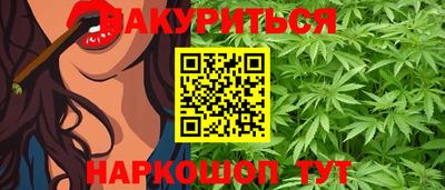 крисы Моздок