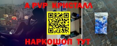 крисы Моздок