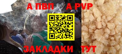 крисы Моздок