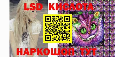 крисы Моздок