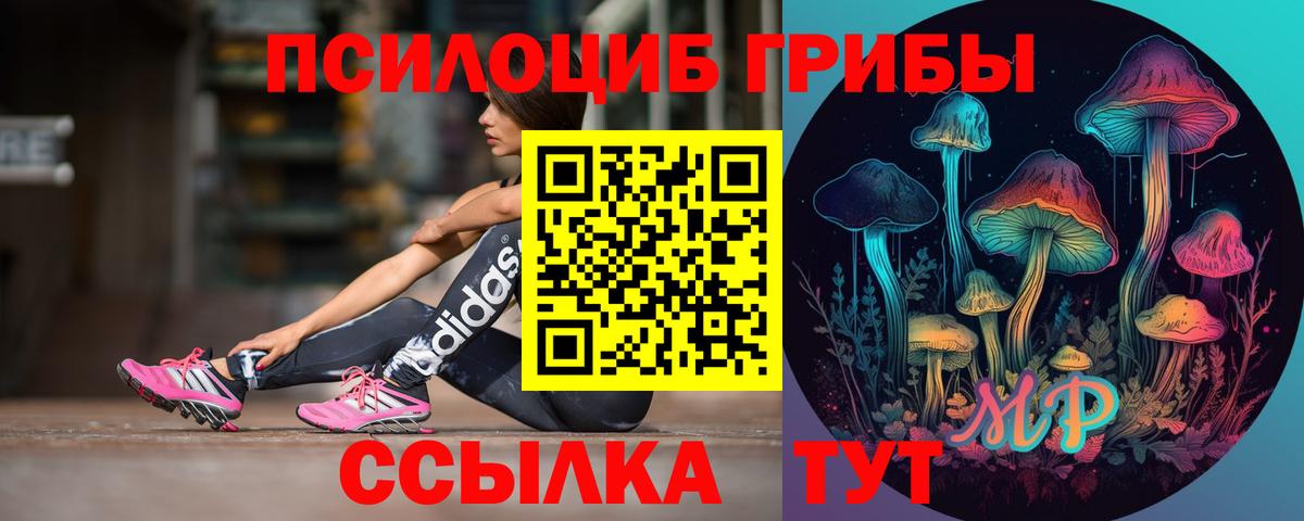Псилоцибиновые грибы MAGIC MUSHROOMS  Вход с VPN  Псилоцибиновые грибы ЛСД  что такое   Гуково 